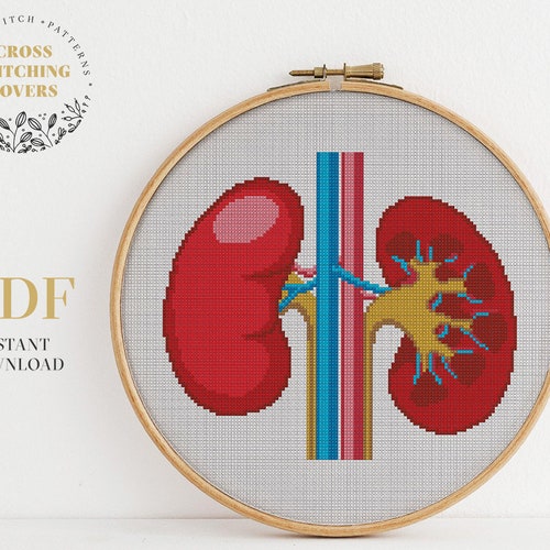 Floral Anatomical Kidney Cross Stitch Pattern Cross Stitch Etsy India