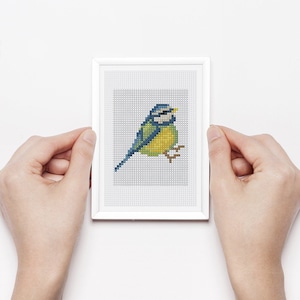 Może przedstawiać: Oprawiony wzór haftu krzyżykowego przedstawiający modraszkę. Ptak jest przedstawiony w odcieniach niebieskiego, żółtego i zielonego na szarym tle w kratkę. Biała ramka jest trzymana przez dłonie. Widoczny jest tekst "PDF NATYCHMIASTOWE POBIERANIE".