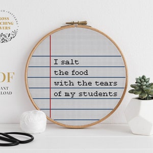 Funny ironic sarcastic cross stitch pattern pdf download hoop embroidery design DIY home decor counted stitch gift idea school teacher