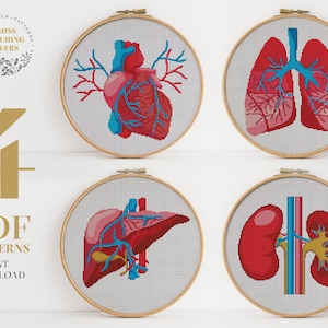 Human anatomy cross stitch pattern bundle, Modern counted cross stitch, PDF pattern, embroidery design, instant download PDF chart image 1