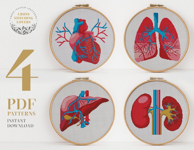 Human Anatomy Cross Stitch Pattern Bundle Modern Counted Etsy