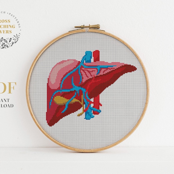 Liver cross stitch pattern, Human body count cross stitch, Human anatomy theme,  embroidery pattern, instant download PDF chart, home decor