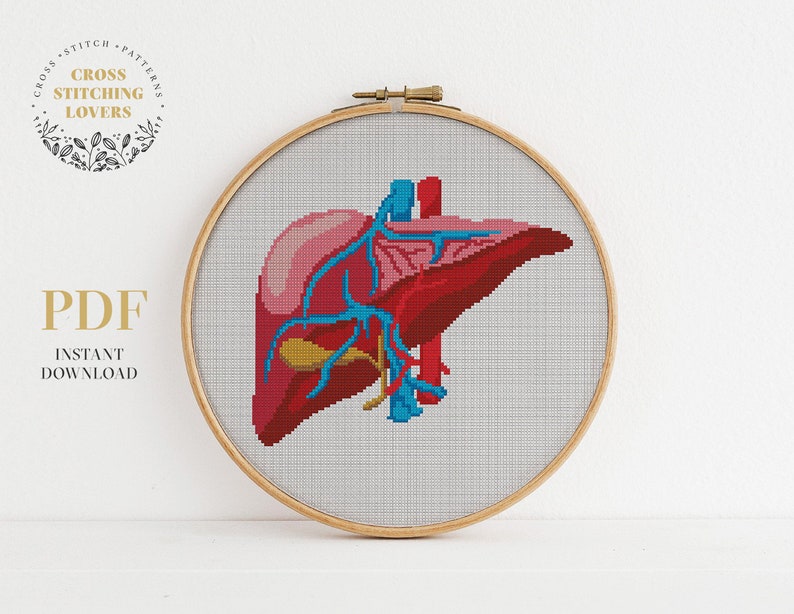 Human anatomy cross stitch pattern bundle, Modern counted cross stitch, PDF pattern, embroidery design, instant download PDF chart image 3