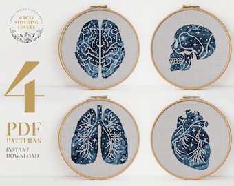 SET 4 Human anatomy cross stitch pattern, Modern counted cross stitch bundle, PDF pattern, embroidery design, instant download PDF chart