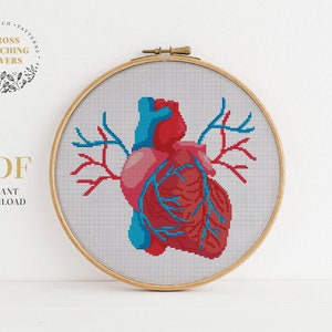 Human anatomy cross stitch pattern bundle, Modern counted cross stitch, PDF pattern, embroidery design, instant download PDF chart image 2