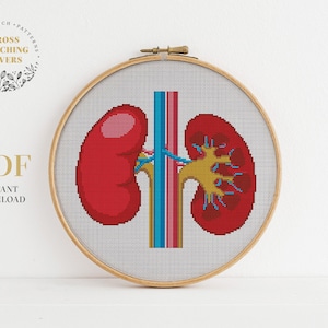 Human anatomy cross stitch pattern bundle, Modern counted cross stitch, PDF pattern, embroidery design, instant download PDF chart image 5