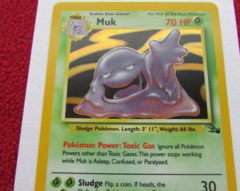 Muk Holo RARE Fossil #13