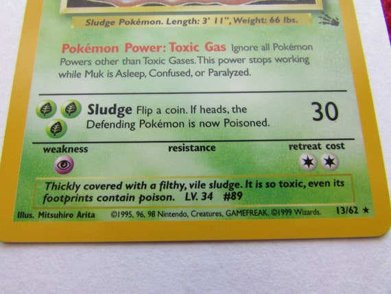 Muk Holo RARE Fossil #13 - Etsy