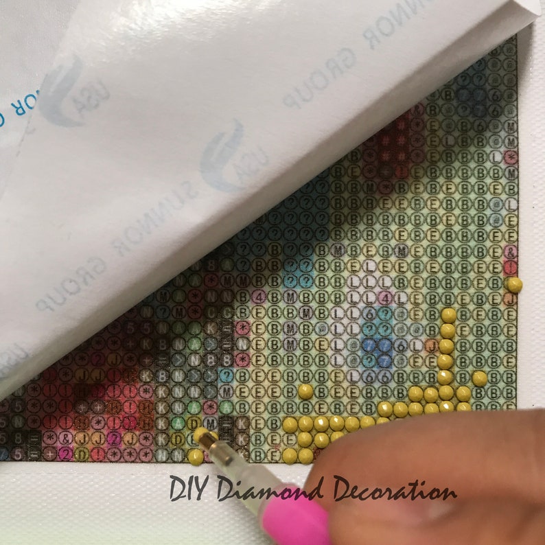 5D Diamond Painting Kits Full Drill Gnomeo and Juliet SquareRound Cross Stitch DIY Mosaic Embroidery Home Decoration Bedroom Wall Painting