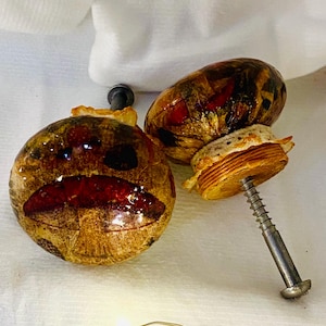 May include: Two decorative bottle stoppers with a unique design. The stoppers feature a brown, textured exterior with red accents and a metal screw. One stopper is partially disassembled, revealing a layered, circular component.