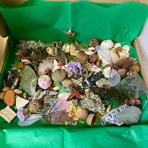 Peut inclure: Une boîte en bois remplie d'éléments naturels variés : coquillages, pierres, fleurs séchées et gousses. La boîte est tapissée de papier de soie vert, créant un affichage coloré et texturé. L'arrangement présente un mélange de couleurs et de formes.