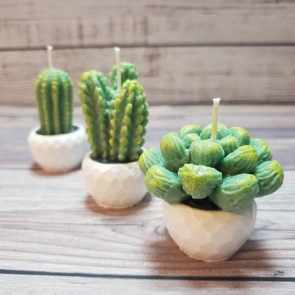 Cactus in White pot, Candle Set of 3 / Bestseller