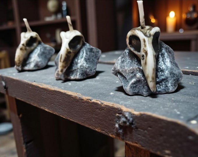 Raven-Crown Funeral Pyres | Tea Light Skull Candles | Gothic Home Decor | Hand-Painted Raven Skull Candles | Soy & Recycled Wax | Set of 6