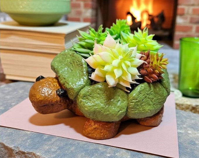 The Ancient Turtle, Cement x 1