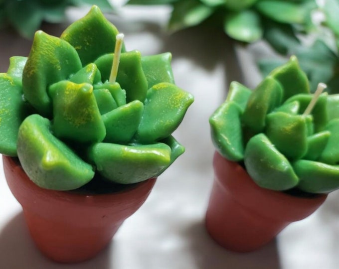 Succulent Candle Set of 2