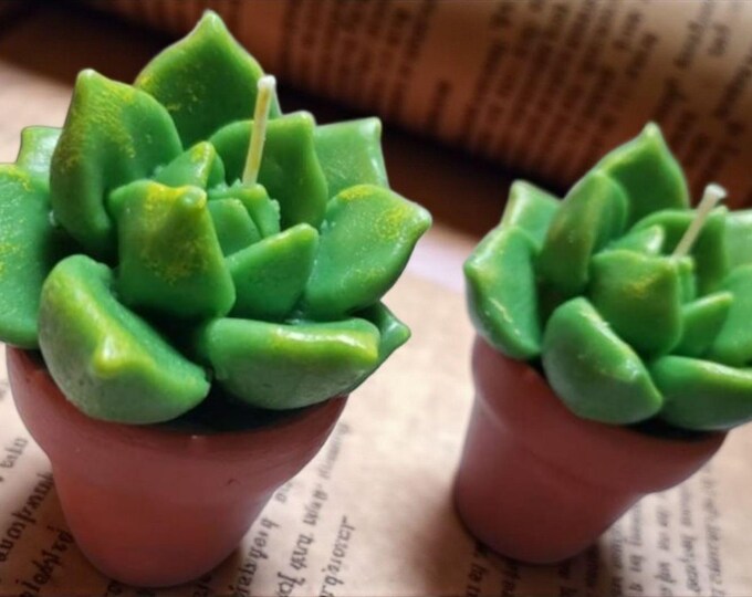 Succulent Candle Set of 2 - Realistic Wax Succulents in Terracotta Pots, Home Decor Gift Pair