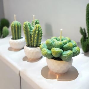 Cactus in White pot, Candle Set of 3 / Bestseller