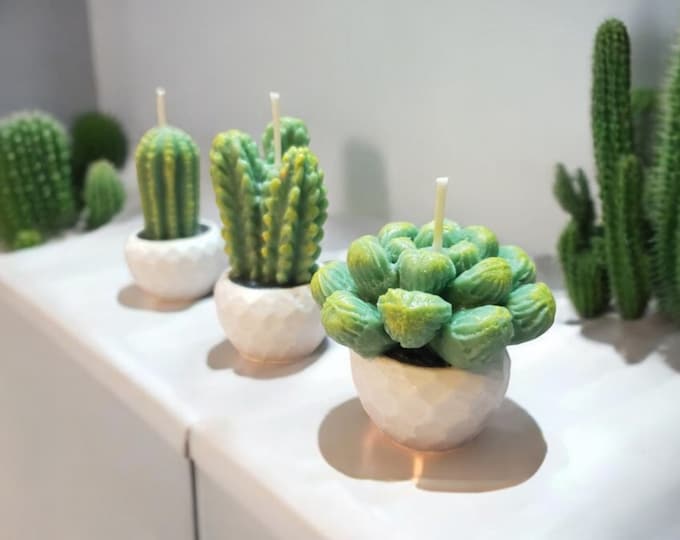 Cactus in White pot, Candle Set of 3 / Bestseller