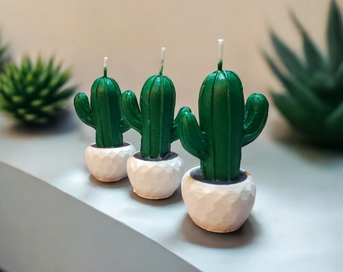 Cactus Dream Candle - Set of 3