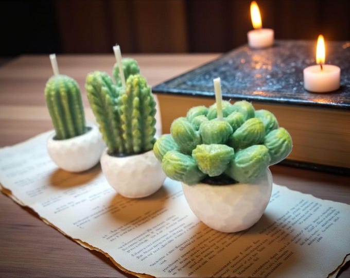Cactus in White Pot - Set of 3 Mini Succulent Candles, Soy/Wax Mix Home Accent Gift