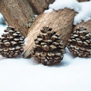May include: Three brown pine cones on a snowy surface. The pine cones are arranged in a row, with the middle pine cone slightly larger than the other two.