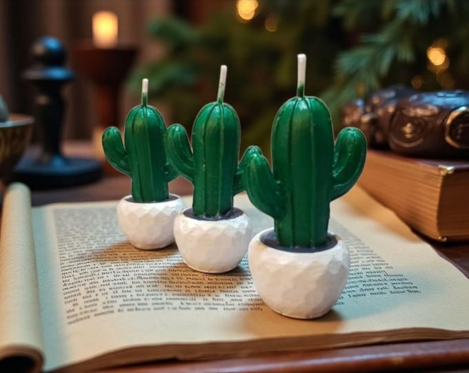 Cactus Dream Candle Set of 3 - Trio of Wax Cacti in Pots, Botanical Gift Accent