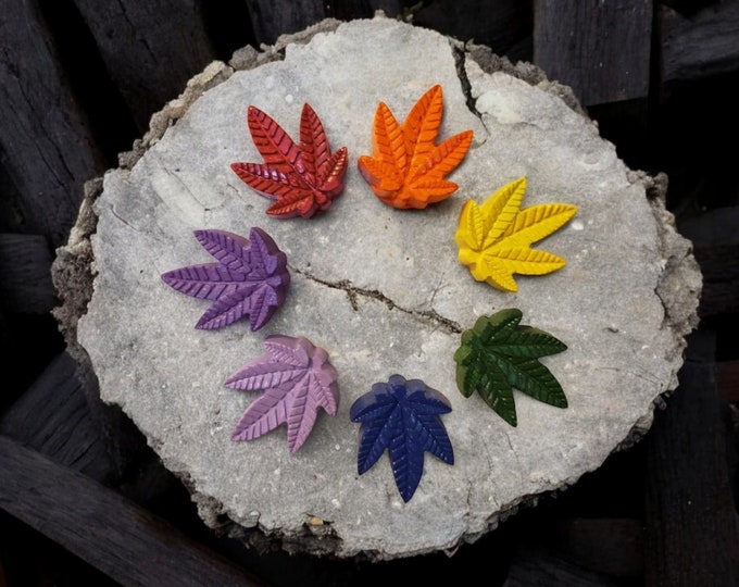 Rainbow Cannabis Leaf  Magnets Set of 7