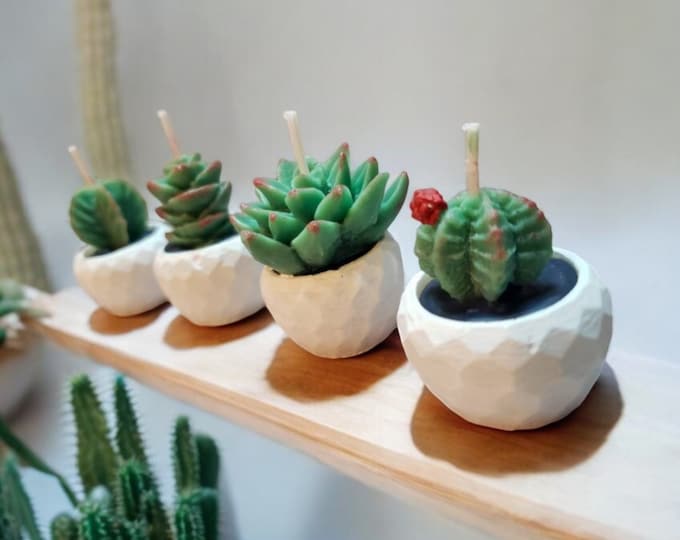 Mini cactus tea lights, Candle set of 4