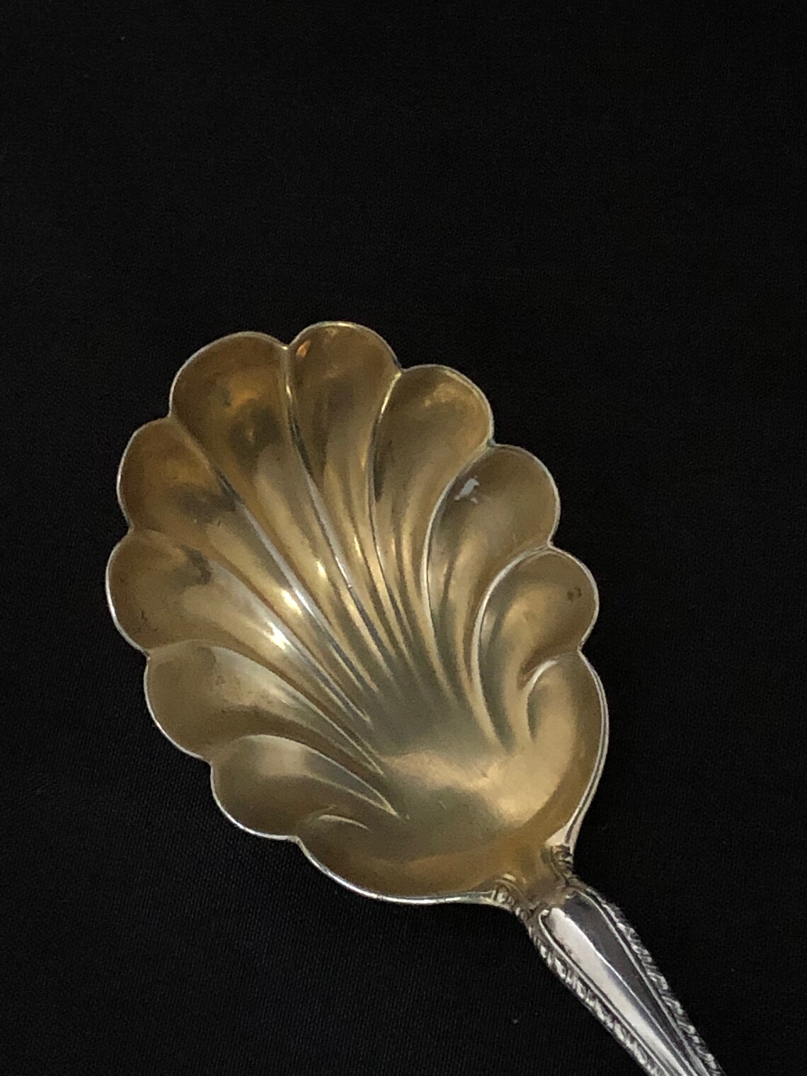 ANTIQUE MELROSE Sugar Shell by ALVIN 5 5/8 Sterling Silver 1910 Gold