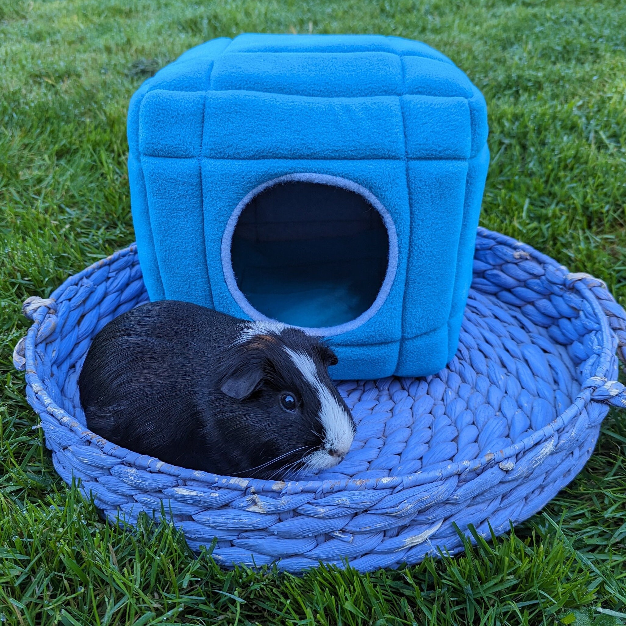 Pink Guinea Pig Hideaway Cube LUCKITTY Bed - Chew-Proof Cozy House With Ventilation (Pink Print) Guinea Pig Hideout