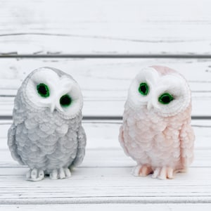 Handmade GRAY or BEIGE owl soap with fresh fruit slices fragrance oil and jojoba oil in the clear plastic gift box with a bow