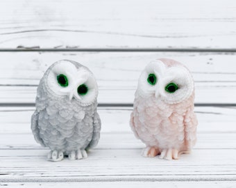 Handmade GRAY or BEIGE owl soap with fresh fruit slices fragrance oil and jojoba oil in the clear plastic gift box with a bow