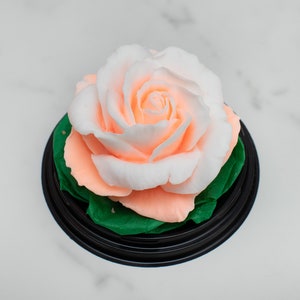 Handmade rose soap with ocean rose fragrance oil in the clear plastic gift box, budget soap gift
