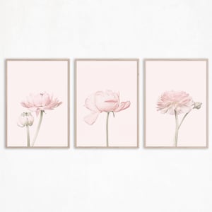 Flower Print Set of 3 Posters Botanical Printable Floral Prints Wall Art Blush Pink Wall Art Girl Bedroom Decor Living Room Wall Art Prints
