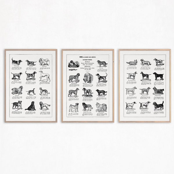 Vintage Dog Breeds Print Set, Pet Wall Art, Grooming Salon Decor, Dog Posters Printable
