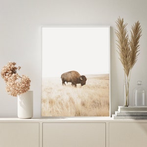 Black Buffalo Art Print Animal Wall Decor Buffalo Art Print Buffalo Wall Art Buffalo Poster Aldari Art