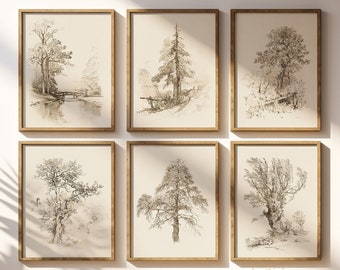 Vintage Sketch Prints Gallery Wall Set Neutral Nature Art Print Forest Drawings Landscape Poster Farmhouse Wall Decor Rustic Country Decor