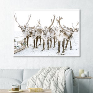 May include: A framed wall art print featuring a herd of reindeer with large antlers standing in a snowy landscape. The reindeer are harnessed and positioned near a wooden sled, captured in a bright, high-key winter scene with white tones.