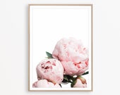 Peony Print Light Pink Decor Floral Wall Decor Flower Print Blush Pink Wall Art Botanical Poster Peony Wall Art Floral Photography Peony Art