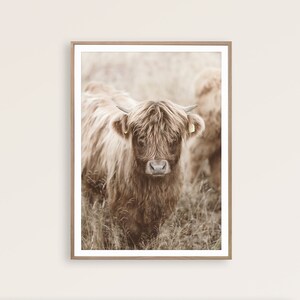 May include: A framed print featuring a Highland cow in a field. The cow has long, shaggy brown fur, small horns, and a tag in its ear. The background is a soft, blurred image of tall grass and another cow. The frame is a light brown color.