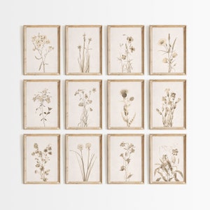 May include: A set of twelve framed botanical prints featuring various flowers and plants in shades of brown and beige. The prints are arranged in a grid pattern on a white wall.