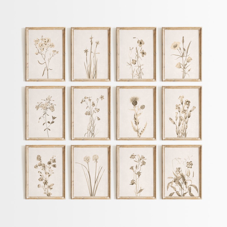 May include: A set of twelve framed botanical prints featuring various flowers and plants in shades of brown and beige. The prints are arranged in a grid pattern on a white wall.