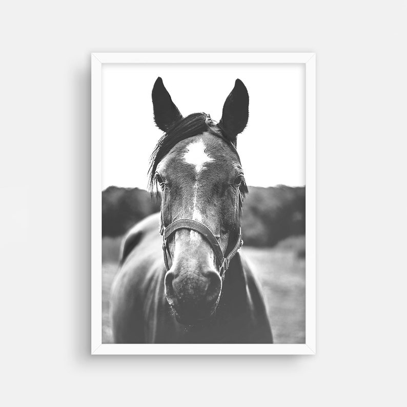 Horse Wall Art Southwestern Decor Horse Print Farmhouse Wall Etsy