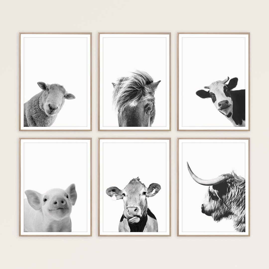 Farm Animal Print Set of 6 Prints Farmhouse Decor Cow Print Sheep Print ...