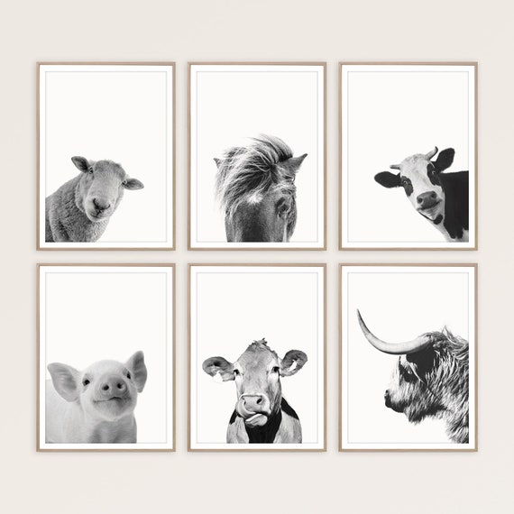 Farm Animal Prints, Set of 6 Wall Art, Farmhouse Wall Decor, Digital Download