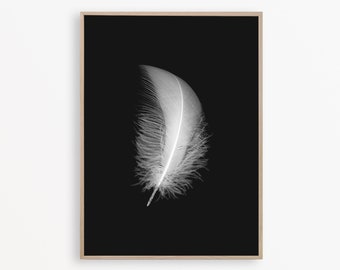 Feather Print, Minimalist Bedroom Black and White Wall Art