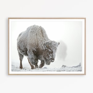 Bison Wall Art Wilderness Print Buffalo Print Farmhouse Wall Decor Nordic Scandinavian Print Buffalo Poster Bison Print Buffalo Printable