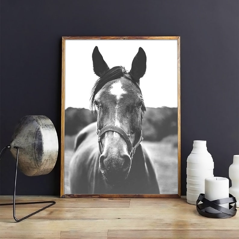 Horse Wall Art Southwestern Decor Horse Print Farmhouse