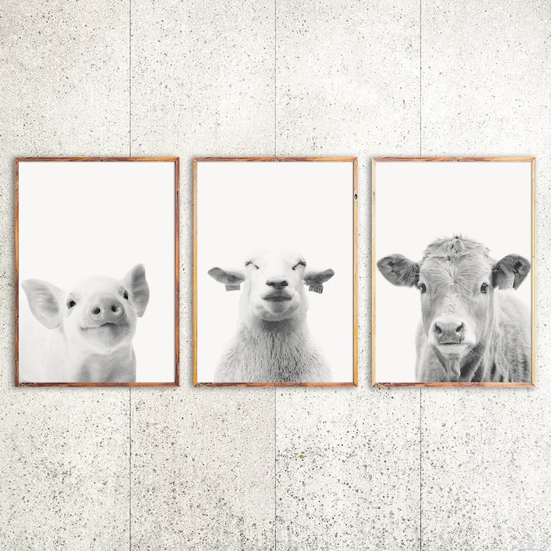 Farm Animal Prints Nursery Wall Art Farmhouse Print Set of 3 - Etsy Canada