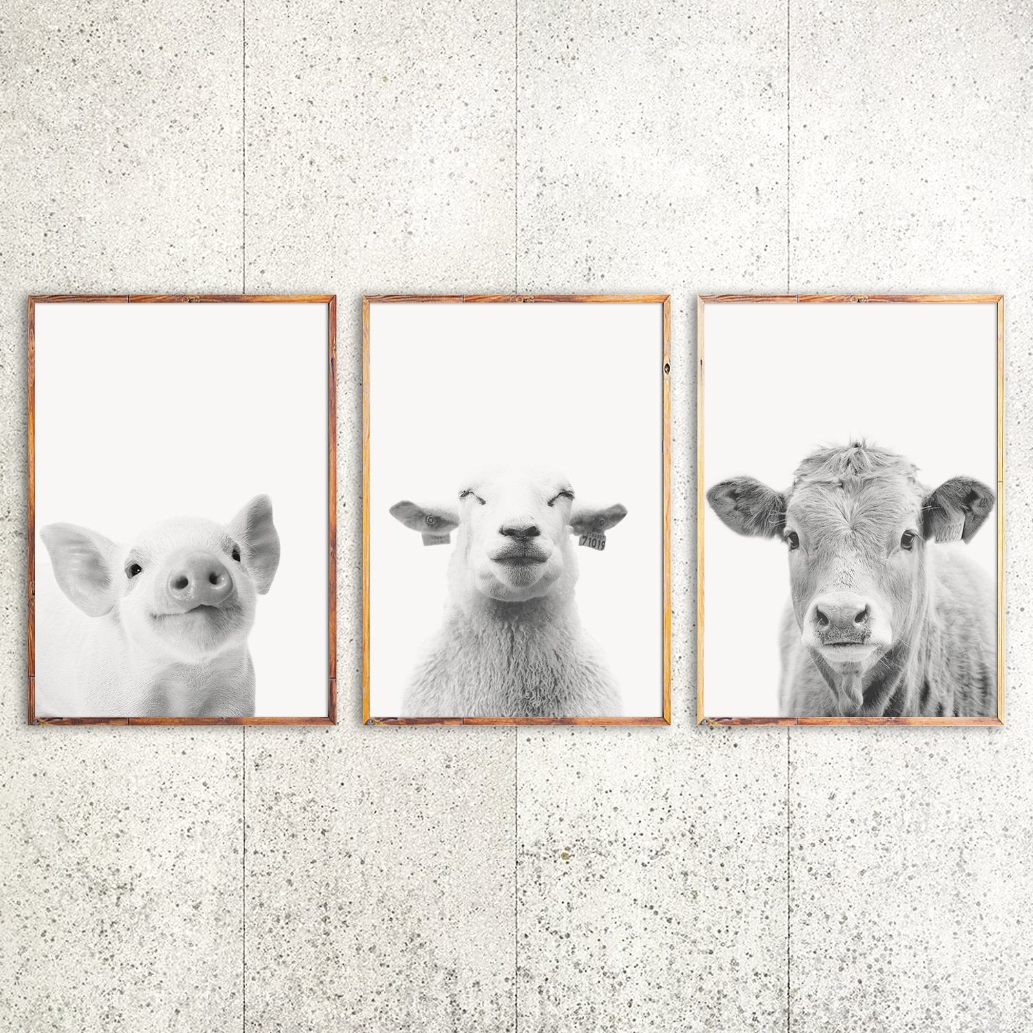 Farm Animal Prints Nursery Wall Art Farmhouse Print Set of 3 Etsy Canada